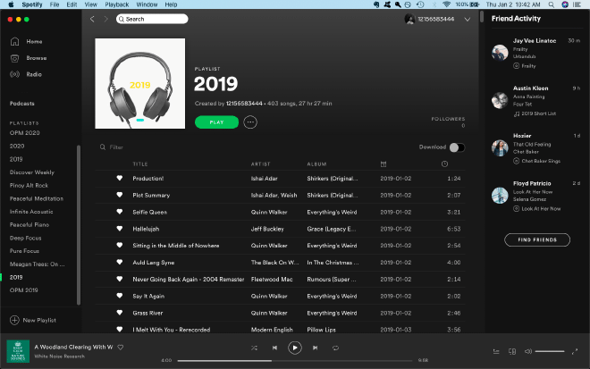 My 2019 Musical Diary